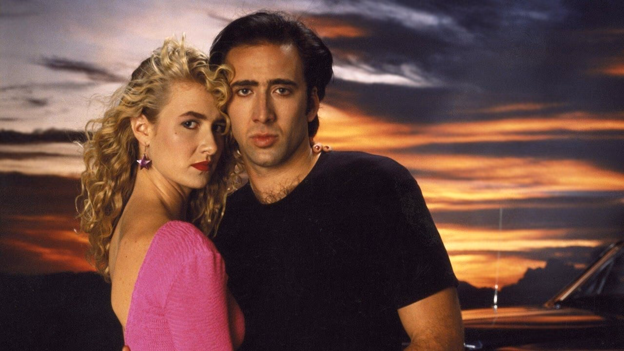 Wild at Heart banner