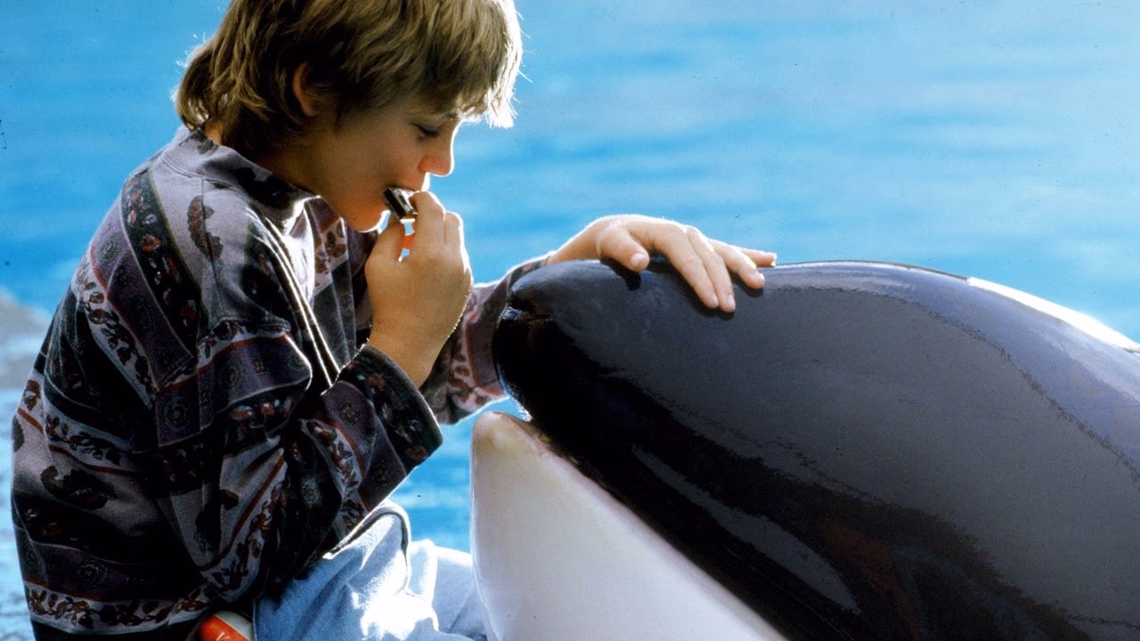 Free Willy banner