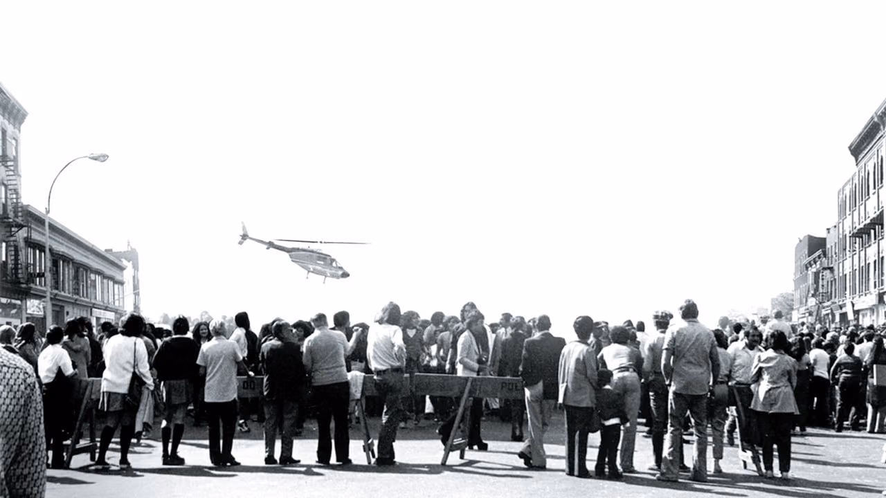Dog Day Afternoon banner