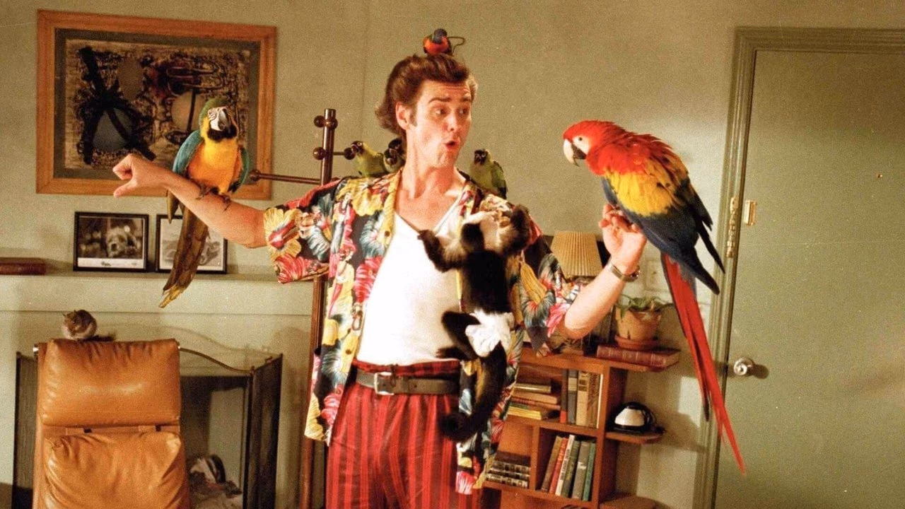 Ace Ventura: Pet Detective banner