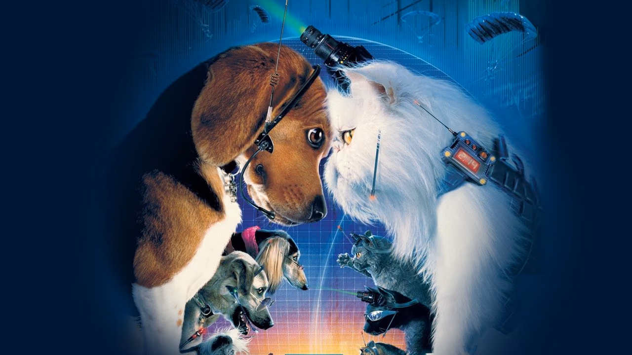 Cats & Dogs banner