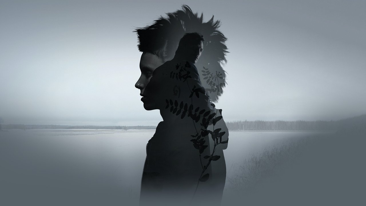 The Girl with the Dragon Tattoo banner