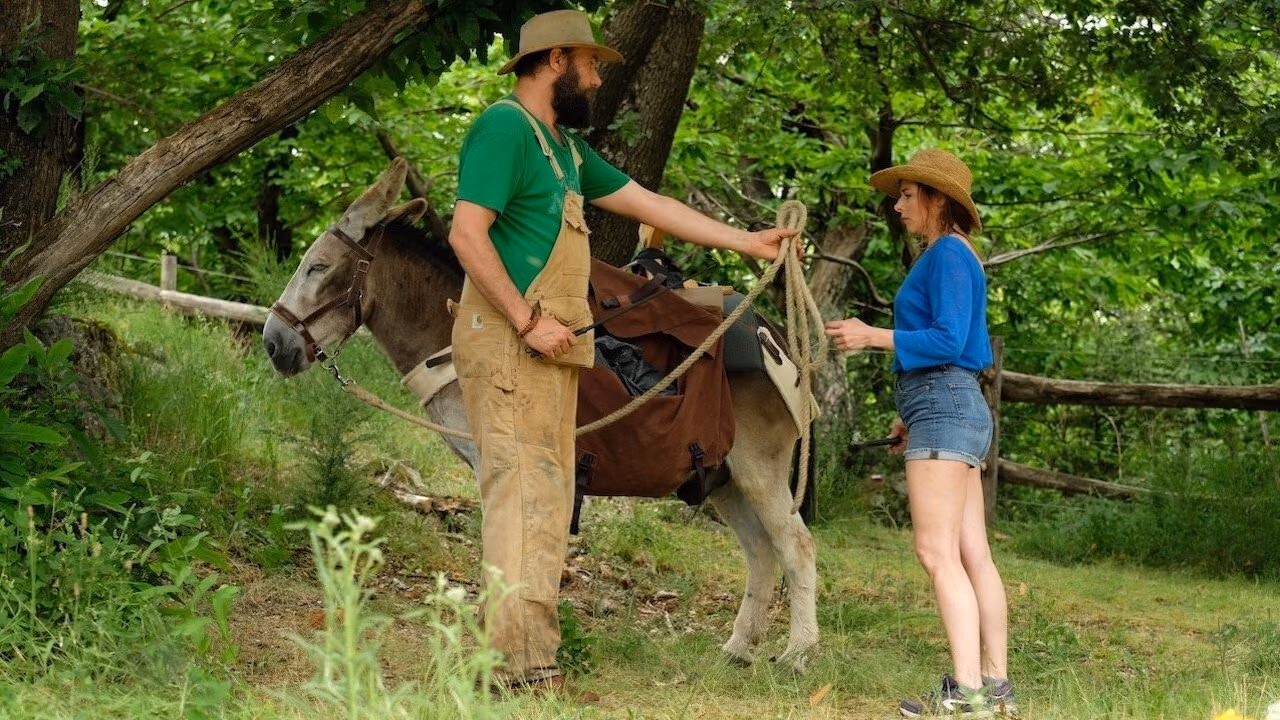 My Donkey, My Lover & I banner