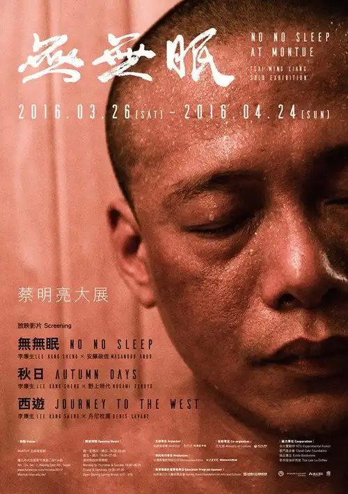 No No Sleep poster